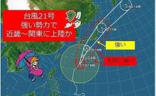 台風選手「過去にない程仕上がっている」