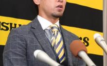 【悲報】阪神上本、Cランクで FA取得へ