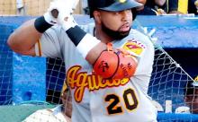  ロサリオ“虎１号”正式契約２試合目で出た！ ウインターリーグで３安打２打点大暴れ