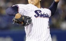 ヤクルトドラ1寺島と梅野が米国へ派遣！