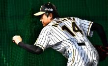 阪神・能見篤史さんは通算100勝を達成できるのか