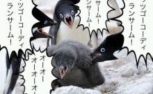 【悲報】ランサム、忘れられる