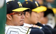 【悲報】ワイ36歳、阪神鳥谷の記録が止まって泣く 	