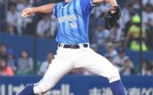 【打線】DeNAファン集合【冷凍】6/12