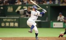 【朗報】阪神ドラ1近本の直近の成績、ガチで凄いwwwww