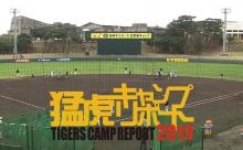 【スカイA,虎テレ】猛虎キャンプリポート2019 2/1午前の部