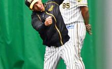 【龍虎同盟】中日OBが大量に阪神キャンプに表れてガッツリ指導する
