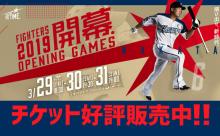 日本ハムの開幕投手誰やっけ 	