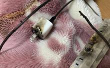ワイ、こんな時間に火事になりかけて泣く 	
