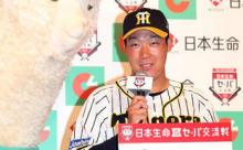 阪神大山「（甲子園の）ヤジと戦ったら負け」