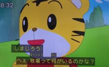 しまじろうの世界、普通に動物が存在していた