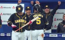 【悲報】矢野監督、開幕から僅か数ヶ月で別人のように老け込んでしまう