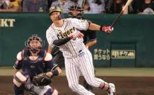 【虎の4番】大山悠輔.258(534-138)14本75打点uzr+10.0war+2.0