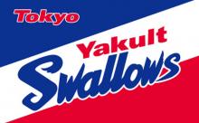 【悲報】ヤクルト、もう始まる
