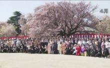 巨人小笠原、桜を見る会を開催する 	