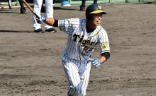 【ウインターリーグ】阪神・島田海吏、猛打賞！！
