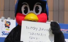 【悲報】ヤクルトさん今期3A防御率7.38のクックに「完成されている投手」 	