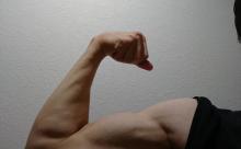 ワイ筋トレ半年の腕ｗｗ 	