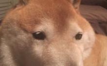 【革命】世界の革命家の名言ランキングTOP10！！！！