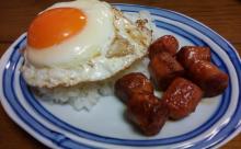 【画像】あのおにぎりソーセージ卵焼きの画像よりも「これでいいんだよ」夜食を作ったで！