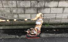 【悲報】三角コーン「コロシテ…コロシテ…」