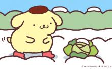 ポムポムプリンさん、長靴ははく