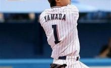 山田哲人さんの年別ホームビジター成績wwwwwwww