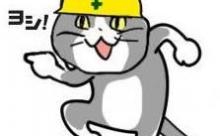 【悲報】ワイ、現場猫になりそう
