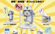 【超画像】ネッコ、ヘルメットを被る