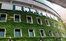 【野球】藤川、福留、能見、上本…ダメ虎を大リストラ　阪神が阪急タイガースになる日〈週刊朝日〉