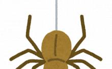 理科の先生「蜘蛛は昆虫じゃありません」ワイ「なんで！！(豪球)」