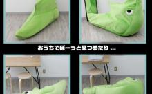 トランセルに入ろう