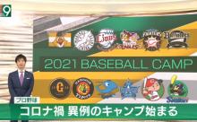 【キャンプ】12球団ファン集合【初日】