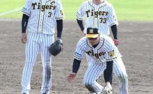 阪神・佐藤輝はキャンプ2度目のサードに、エラー撲滅に真剣シートノック