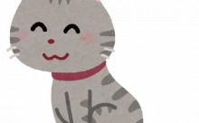 ワイ、猫に嫉妬して辛い