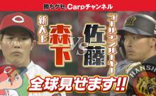 カープ森下暢仁vs阪神ドラ1佐藤輝明！昨季新人王が虎の怪物ルーキーから空振り三振×2【全球ハイライト動画】