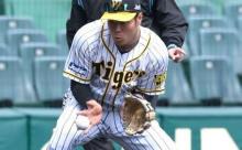 【阪神】ドラ１佐藤輝　初のサード守備で打球処理　“４番初打席”は空振り三振