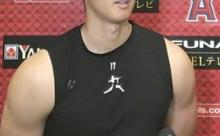 【悲報】大谷のヒット内訳がやばすぎる！！！www　イチローとの比較あり