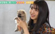 【画像】浜辺美波さんの犬の抱っこの仕方ｗｗｗｗｗｗｗｗｗｗ