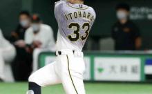 阪神糸原健斗、値千金の先制弾！177日ぶり１発　菅野150キロ振り抜く