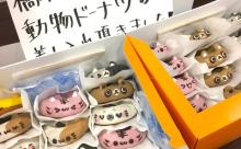 【画像】橋本環奈さんの差し入れ