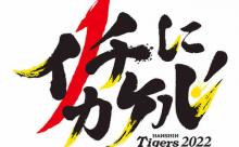 【試合結果】阪神vs西武　2022/06/02 【ガンケル7回途中1失点＆3安打1打点　糸原3安打2打点　近本3安打　島田実質3安打1打点1盗塁　アルカン好救援　藤浪＆岩貞1回無失点】