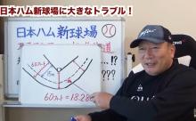高木豊氏、日本ハム新球場規則違反を解説「ファンのため、人気が出ると思う」「現行で容認を」と訴え