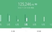 彡(●)(●)「じゃあこの手取りで一人暮らししてみろよ」
