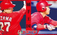 カープ坂倉vs會澤vs磯村らの正捕手争い！藤井ヘッド『勝てるキャッチャー』を目指して