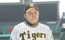 【悲報】セリーグファン、薄々阪神タイガースが独走することに気がついてしまう