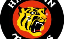 阪神タイガース　直近14試合→〇〇〇〇〇〇〇●〇〇〇〇〇〇