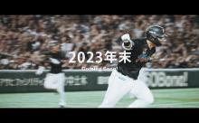 千葉ロッテマリーンズ、映画化決定