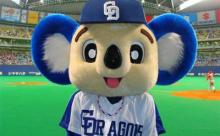 【朗報】中日ドラゴンズ野手、若返りに成功！大島を除くと最高齢が32歳