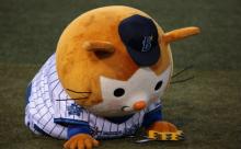 横浜DeNAベイスターズ 盗塁数33←さすがになんとかならんのかこれ？